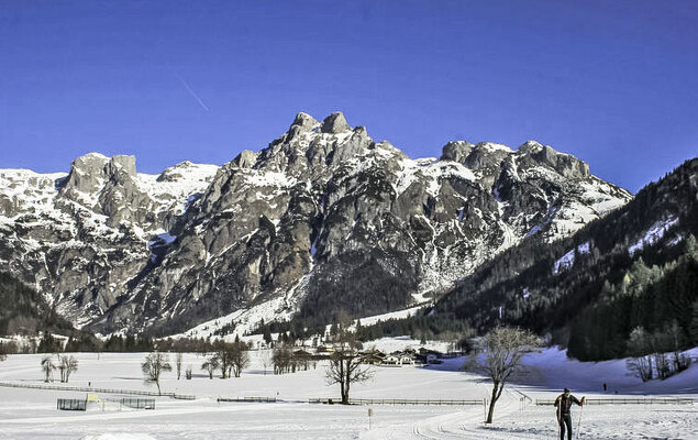 Edelweiss - Photo 25