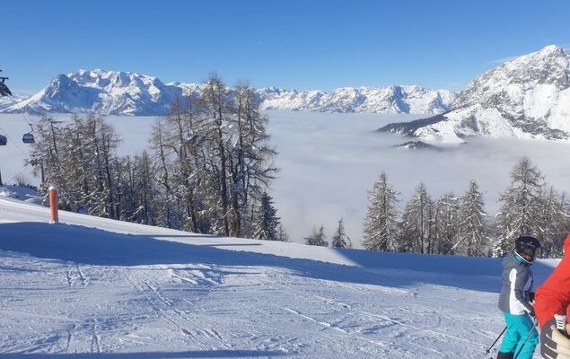 Edelweiss - Photo 27