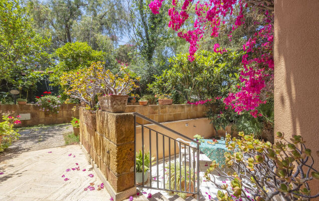 Cicladi Mikonos - Photo 19