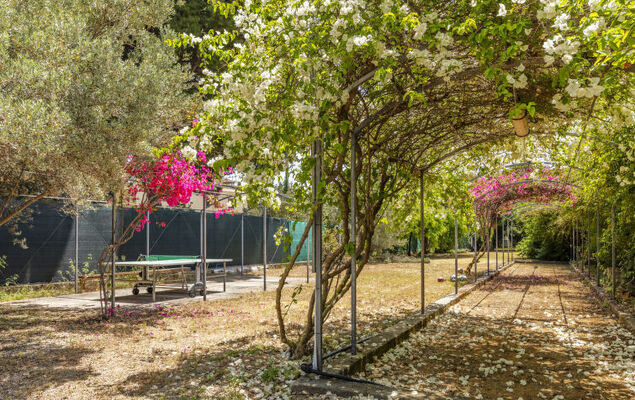 Cicladi Mikonos - Photo 23