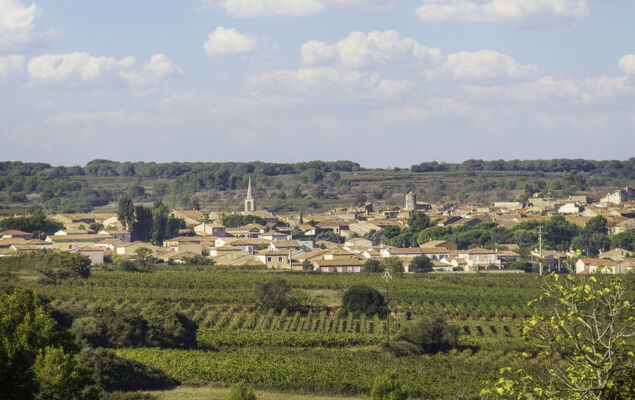 Les Terrasses de la Méditerranée - Photo 28