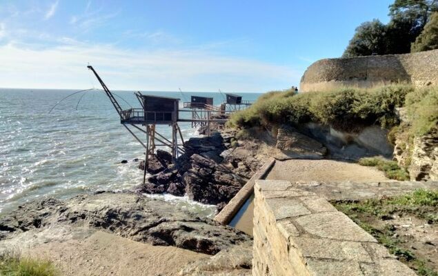 Le Bain du Papillon - Photo 37