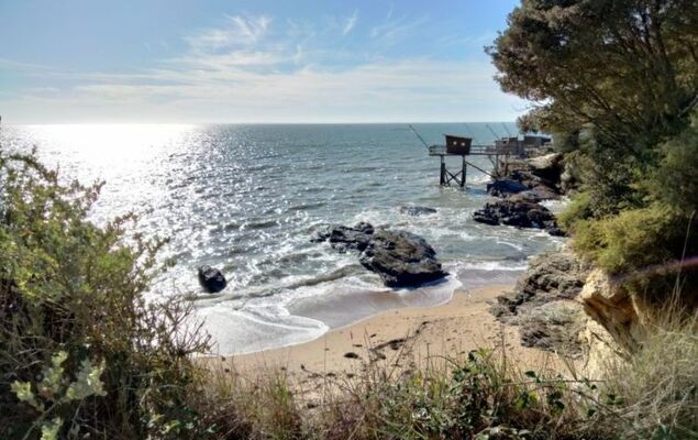 Le Bain du Papillon - Photo 38