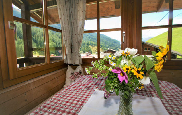 Chalet Antritt - Photo 15