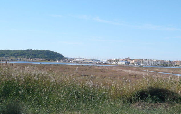 Laguna Beach - Photo 33