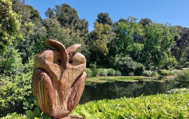 Les Rivages de Coudoulière - Photo 43