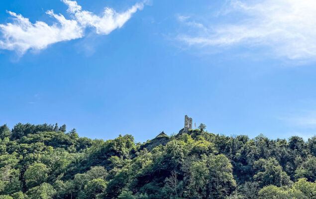 Weingut Krempel - Photo 32